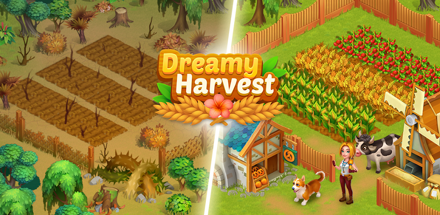 Dreamy Harvest