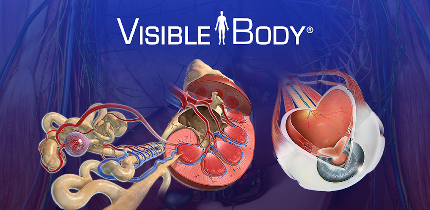 Human Anatomy Atlas 2026